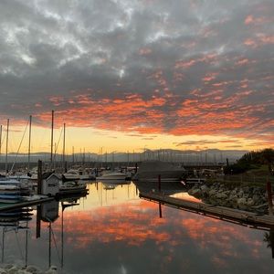 Meet your Posher, Jackson